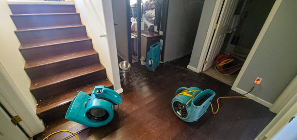 Reliable Fobes Hill, WA Water damage restoration Solutions