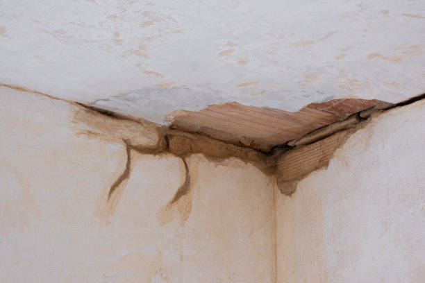 Best Residential water damage restoration  in Fobes Hill, WA