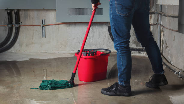 Best Residential water damage restoration  in Fobes Hill, WA