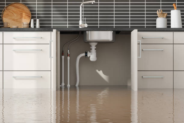 Best Commercial water damage restoration  in Fobes Hill, WA