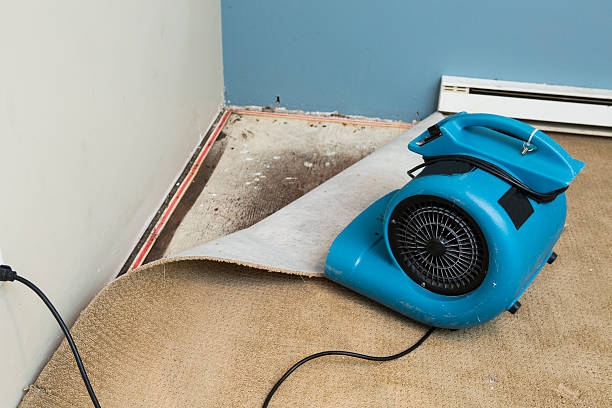 Best Commercial water damage restoration  in Fobes Hill, WA